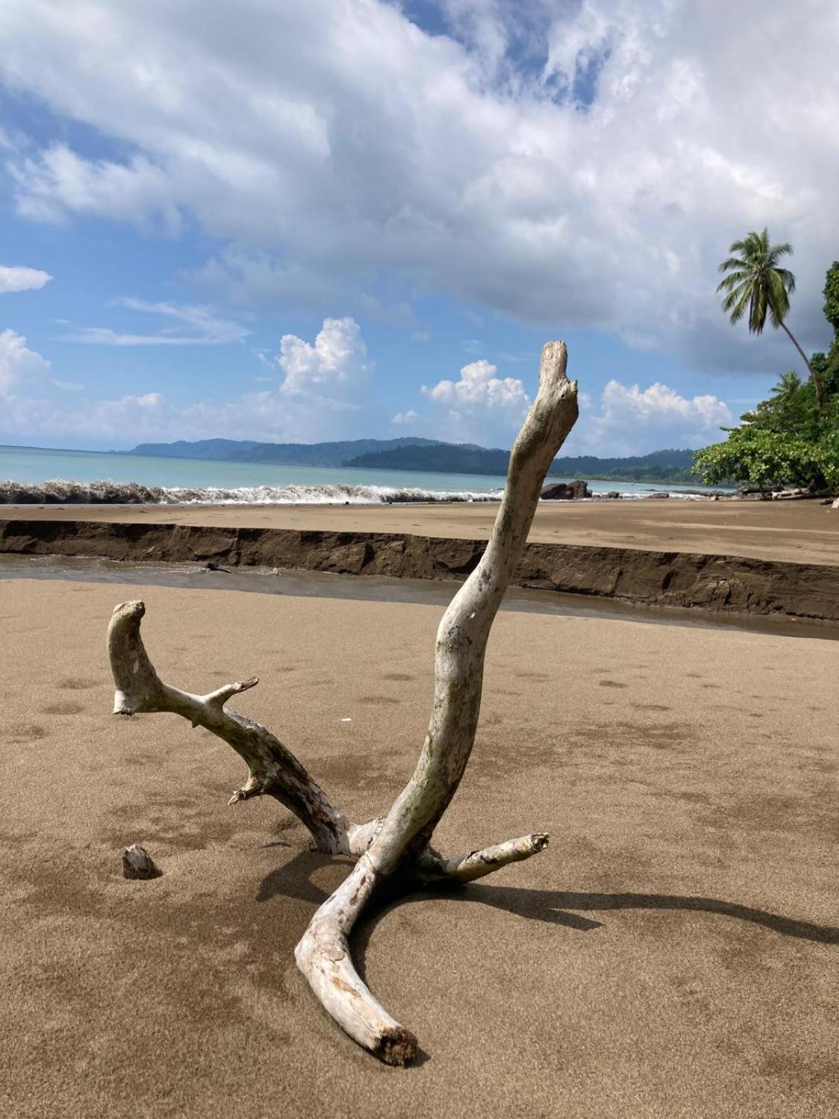 Corcovado & Drake Hotel