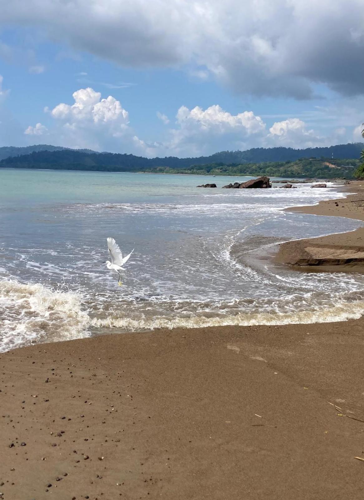Corcovado & Drake Drakes Bay